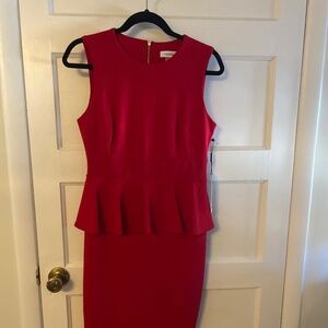 Calvin Klein Red dress with gold zipper